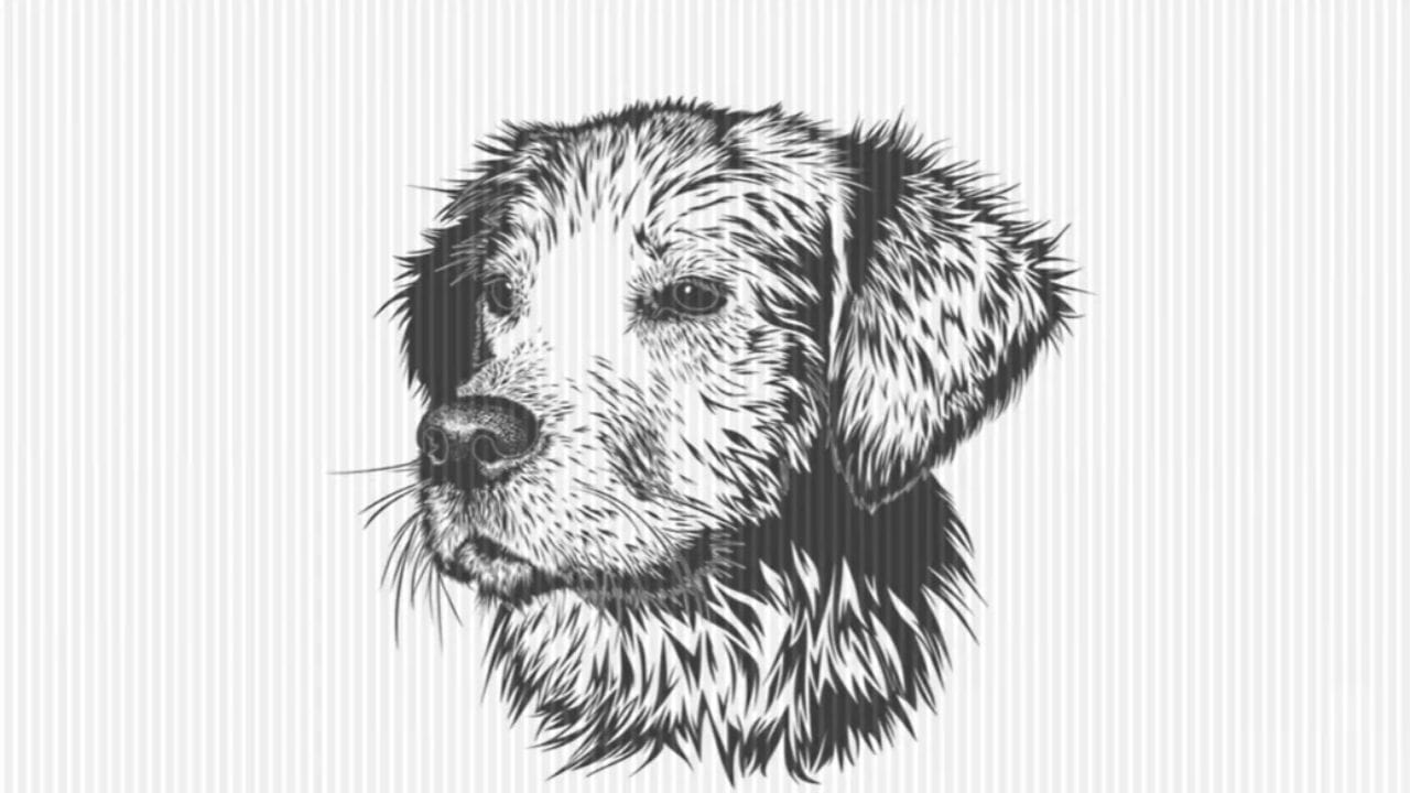 Optical Illusion Test (3)