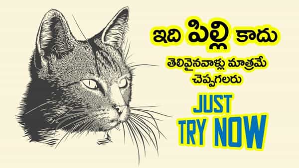 Optical Illusion: దమ్ముంటే కాస్కో.. ఈ పిల్లి చిత్రంలో దాగున్న మరో జీవిని 10 సెకన్లలో గుర్తిస్తే మీరే తోపు!