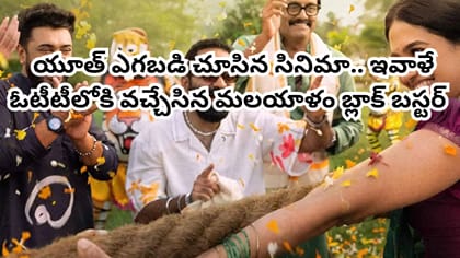 25 కోట్లతో తీస్తే 320 కోట్లు.. OTTలోకి వచ్చేసిన బ్లాక్ బస్టర్