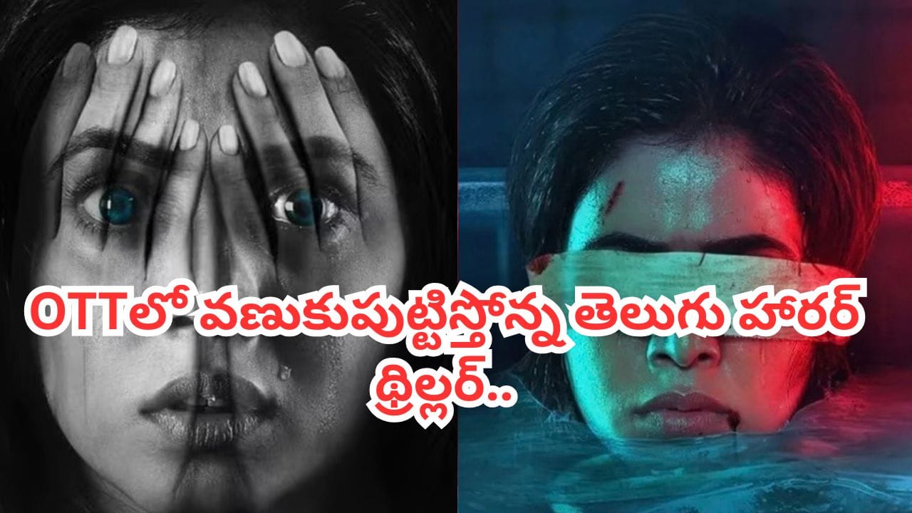 OTT Movie: ఓటీటీలో దడ పుట్టిస్తోన్న తెలుగు హారర్ థ్రిల్లర్.. ట్విస్టులకు మైండ్ బ్లాక్ ఖాయం .. ఒంటరిగా చూడొద్దు