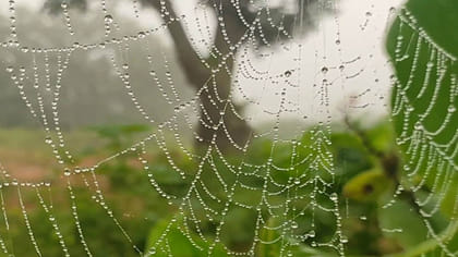 అంతటా ఎండలు.. అక్కడ మాత్రం ఆహ్లాదకరమైన వాతావరణం