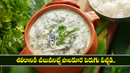 శరీరానికి చలువనిచ్చే పాలకూర పెరుగు పచ్చడి.. 