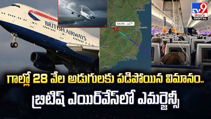 గాల్లో 28 వేల అడుగులకు పడిపోయిన విమానం..