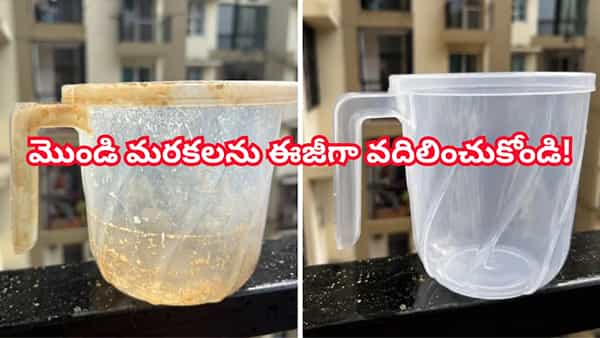 బాత్రూమ్లో ప్లాస్టిక్ బకెట్లు, మగ్గులపై పేరుకుపోయిన మొండి మరకలను ఈజీగా వదిలించుకోండి!