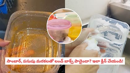 సాంబార్, పసుపు మరకలతో లంచ్ బాక్స్ పాడైందా? ఇలా క్లీన్ చేయండి!