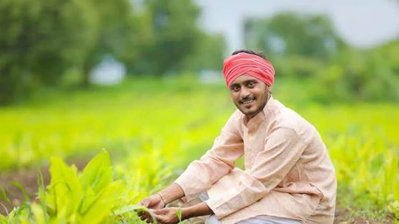ఈ ఏడాది జూన్ 20వ తేదీన పీఎం కిసాన్ 23వ విడత నిధులను ప్రధాని మోదీ విడుదల చేశారు. దేశవ్యాప్తంగా 9.44 కోట్ల మంది లబ్దిదారులకు రూ.18,880 కోట్లు రిలీజ్ చేశారు. ఇందులో 2.8 కోట్ల మంది మహిళా రైతులు కూడా ఉన్నారు. డిసెంబర్ 1,2018 నుంచి ఈ పథకం అమలవుతోంది. ప్రతీ ఏడాది ఈ స్కీమ్ ద్వారా రైతులకు రూ.6  వేల చొప్పున అందిస్తున్నారు. 
