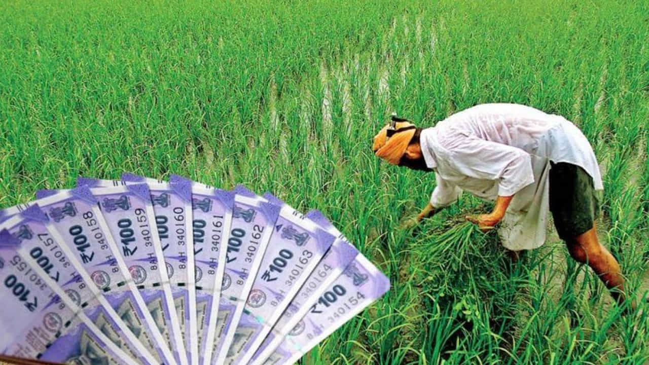 ప్రభుత్వ అధికారిక హ్యాండిల్స్, పోర్టల్స్ ద్వారా రైతులు సమాచారం తెలుసుకోవచ్చు. కేంద్రం పీఎం కిసాన్ స్కీమ్ ద్వారా ప్రతీ ఏడాది రూ.6 వేలు జమ చేస్తోంది. వీటిని డీబీటీ ప్రక్రియ ద్వారా నేరుగా రైతుల ఖాతాల్లో వేస్తున్నారు. మూడు విడతలుగా నాలుగు నెలలకు ఒకసారి విడుదల చేస్తోంది.