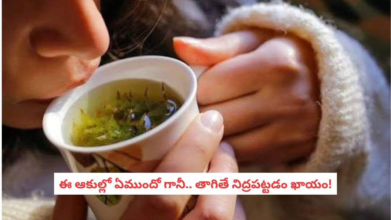 Stress Relief Tea: ఈ ఆకుల కషాయం తాగితే ఒత్తిడి పరార్.. నిద్రమత్తు ఆవహిస్తుంది..