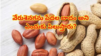 బాదం, పిస్తా కంటే పల్లీలే బెస్ట్.. చలికాలంలో ఇలా తిన్నారంటే..