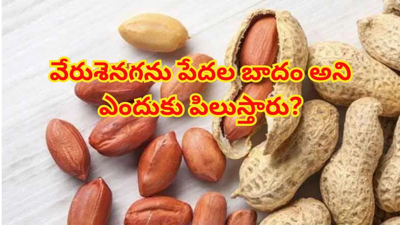 బాదం, పిస్తా కంటే పల్లీలే బెస్ట్.. చలికాలంలో ఇలా తిన్నారంటే తిరుగులేని ఆరోగ్యం!