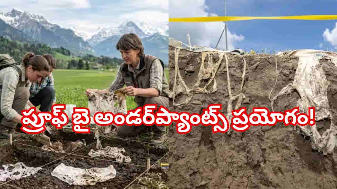 2,000 అండర్వేర్లు భూమిలో పూడ్చిపెట్టిన శాస్త్రవేత్తలు! కొత్త రహస్యాన్ని కనిపెట్టారు..!