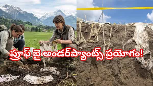 2,000 అండర్వేర్లు భూమిలో పూడ్చిపెట్టిన శాస్త్రవేత్తలు! కొత్త రహస్యాన్ని కనిపెట్టారు..!