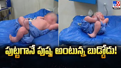 పుట్టగానే పుష్ప అంటున్న బుడ్డోడు! చిన్నారి వీడియో వైరల్‌