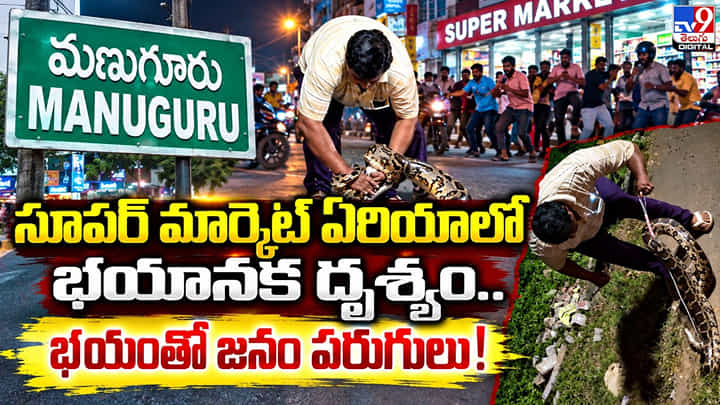 సూపర్ మార్కెట్ ఏరియాలో భయానక దృశ్యం.. భయంతో జనం పరుగులు! సూపర్ మార్కెట్ ఏరియాలో భయానక దృశ్యం.. భయంతో జనం పరుగులు!