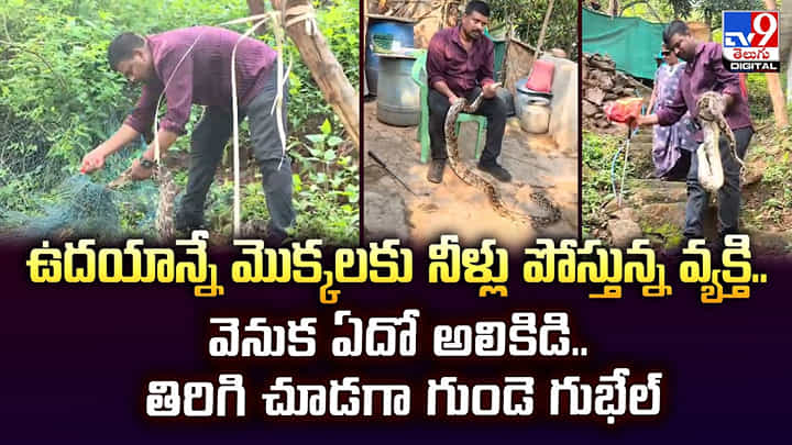 ఉదయాన్నే మొక్కలకు నీళ్లు పోస్తున్న వ్యక్తి.. వెనుక ఏదో అలికిడి.. తిరిగి చూడగా గుండె గుభేల్ ఉదయాన్నే మొక్కలకు నీళ్లు పోస్తున్న వ్యక్తి.. వెనుక ఏదో అలికిడి.. తిరిగి చూడగా గుండె గుభేల్