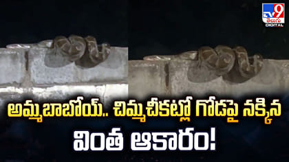 అమ్మబాబోయ్‌.. చిమ్మచీకట్లో గోడపై నక్కిన వింత ఆకారం!
