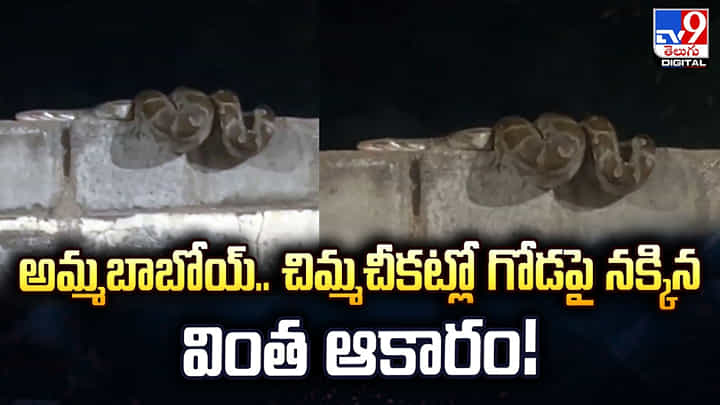 అమ్మబాబోయ్.. చిమ్మచీకట్లో గోడపై నక్కిన వింత ఆకారం! అమ్మబాబోయ్.. చిమ్మచీకట్లో గోడపై నక్కిన వింత ఆకారం!