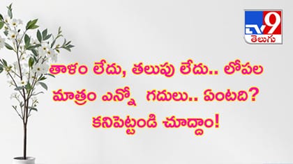 తాళం లేదు, తలుపు లేదు.. లోపల మాత్రం ఎన్నో గదులు.. ఏంటది?