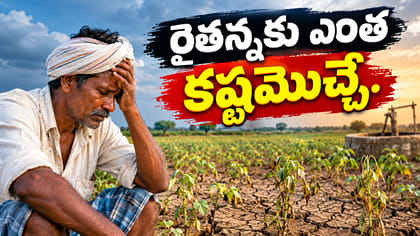 రైతన్నకు ఎంత కష్టమొచ్చే.. కరువు పంజాతో చేతికొచ్చిన పంట కళ్లముందే