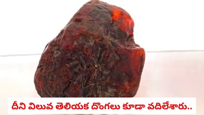 దీని విలువ తెలియక దొంగలు కూడా వదిలేశారు..