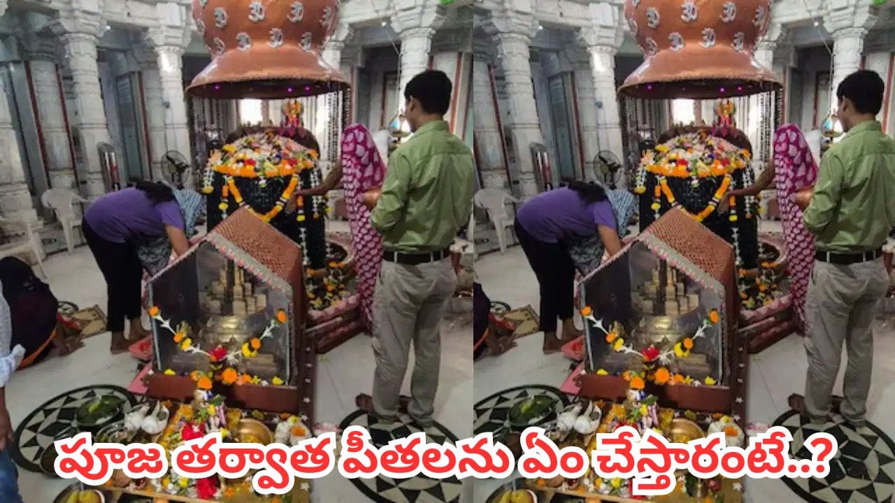 శివలింగానికి సజీవ పీతలతో పూజ.. ఈ ఆలయంలో వింత ఆచారం వెనుక పురాణ కథ ఇదే!
