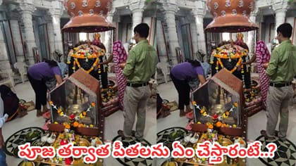 శివలింగానికి సజీవ పీతలతో పూజ.. ఈ ఆలయంలో వింత ఆచారం వెనుక పురాణ కథ