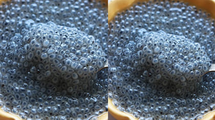 ఇది రెండు స్పూన్స్ తాగితే.. యవ్వనం తిరిగి వస్తుంది..