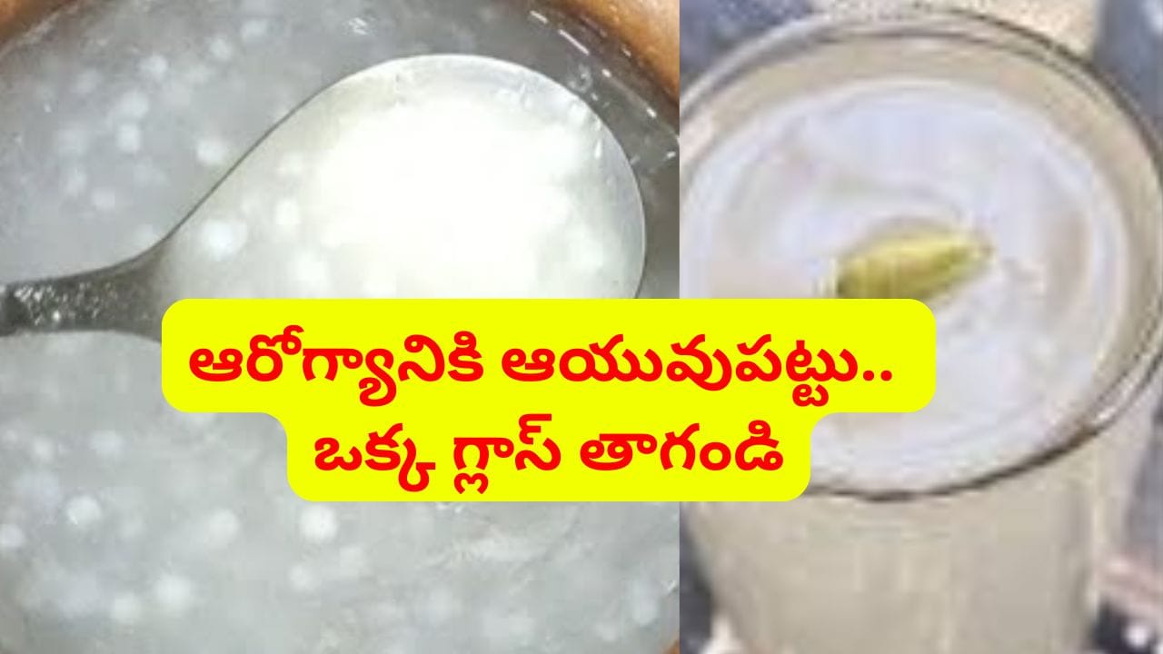 ఆరోగ్యానికి మేలు చేసే సగ్గుబియ్యం జావ తయారీ విధానం