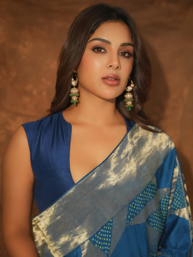 చీరకట్టులో చిన్నదాని అందాలు చూస్తే వావ్ అనాల్సిందే.. సంయుక్త మీనన్ పిక్స్ వైరల్