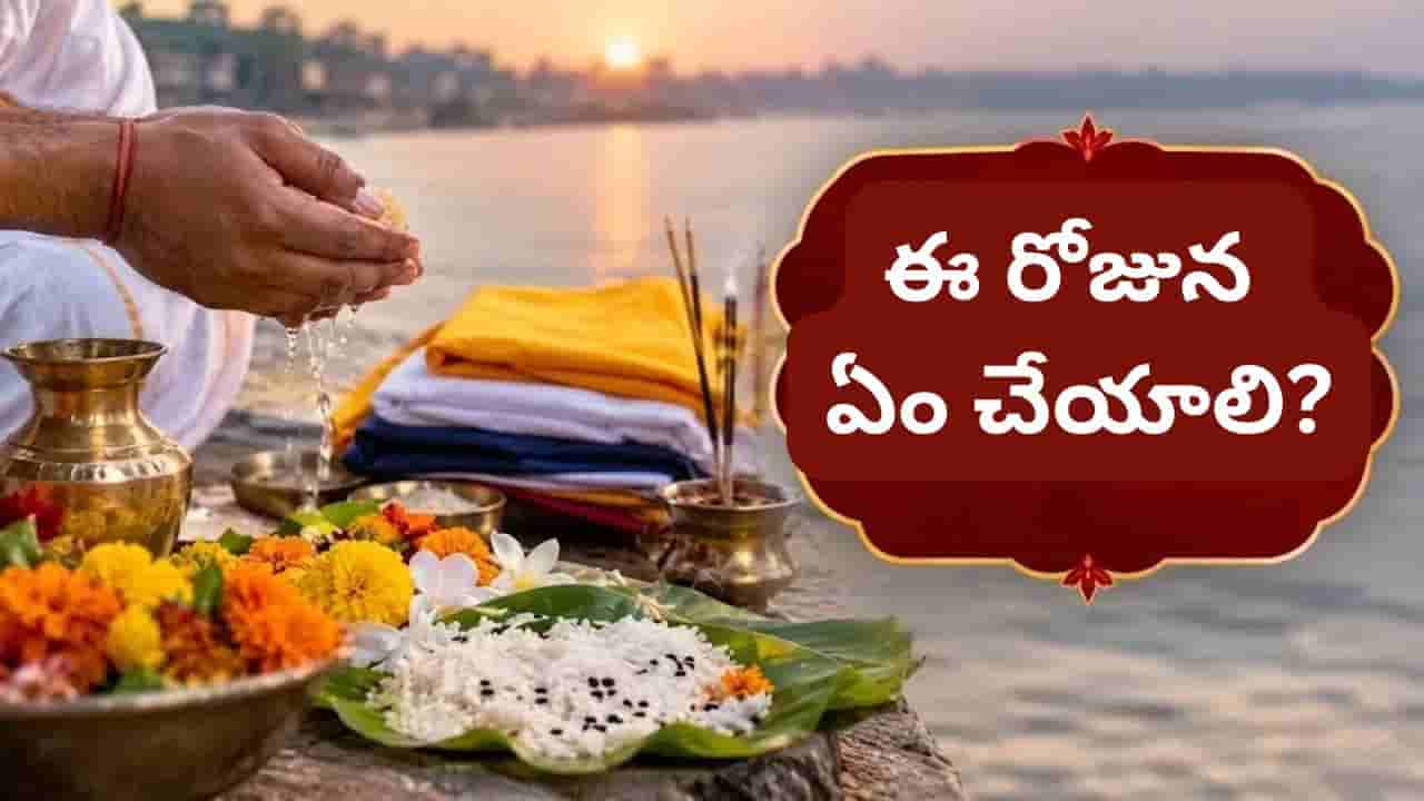 మహాలయ అమావాస్య.. ఈ వస్తువు ఇంటికి తెస్తే ఆర్థిక సమస్యలు వస్తాయట.. ఎందుకో తెలుసా?