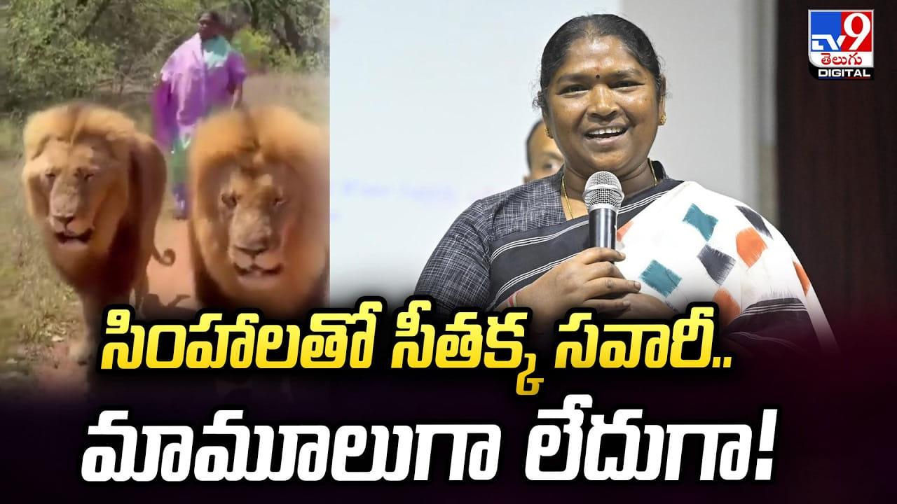 సింహాలతో సీతక్క సవారీ.. మామూలుగా లేదుగా!