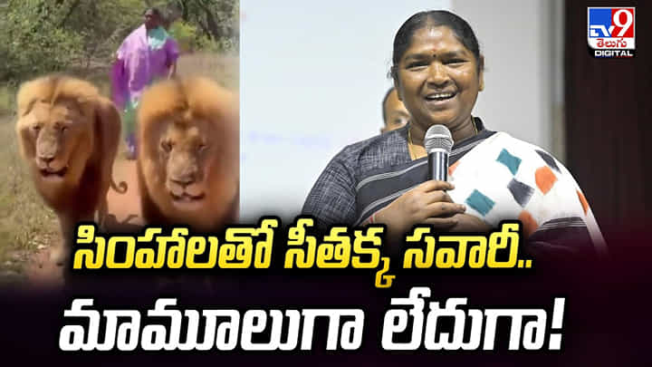 సింహాలతో సీతక్క సవారీ.. మామూలుగా లేదుగా! సింహాలతో సీతక్క సవారీ.. మామూలుగా లేదుగా!
