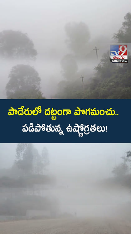 పాడేరులో దట్టంగా పొగమంచు.. పడిపోతున్న ఉష్ణోగ్రతలు!