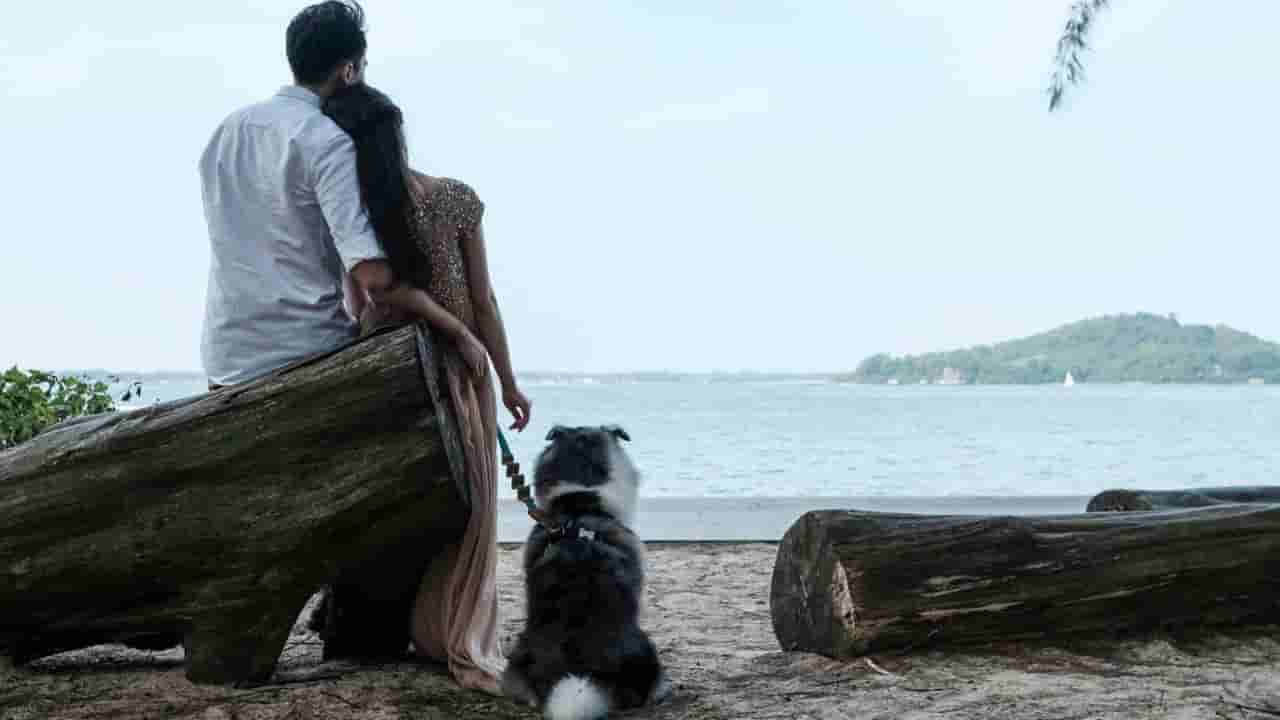 నెలకు ఒక్క మ్యాచ్ మాత్రమే చూపించే విభిన్న డేటింగ్ యాప్ !