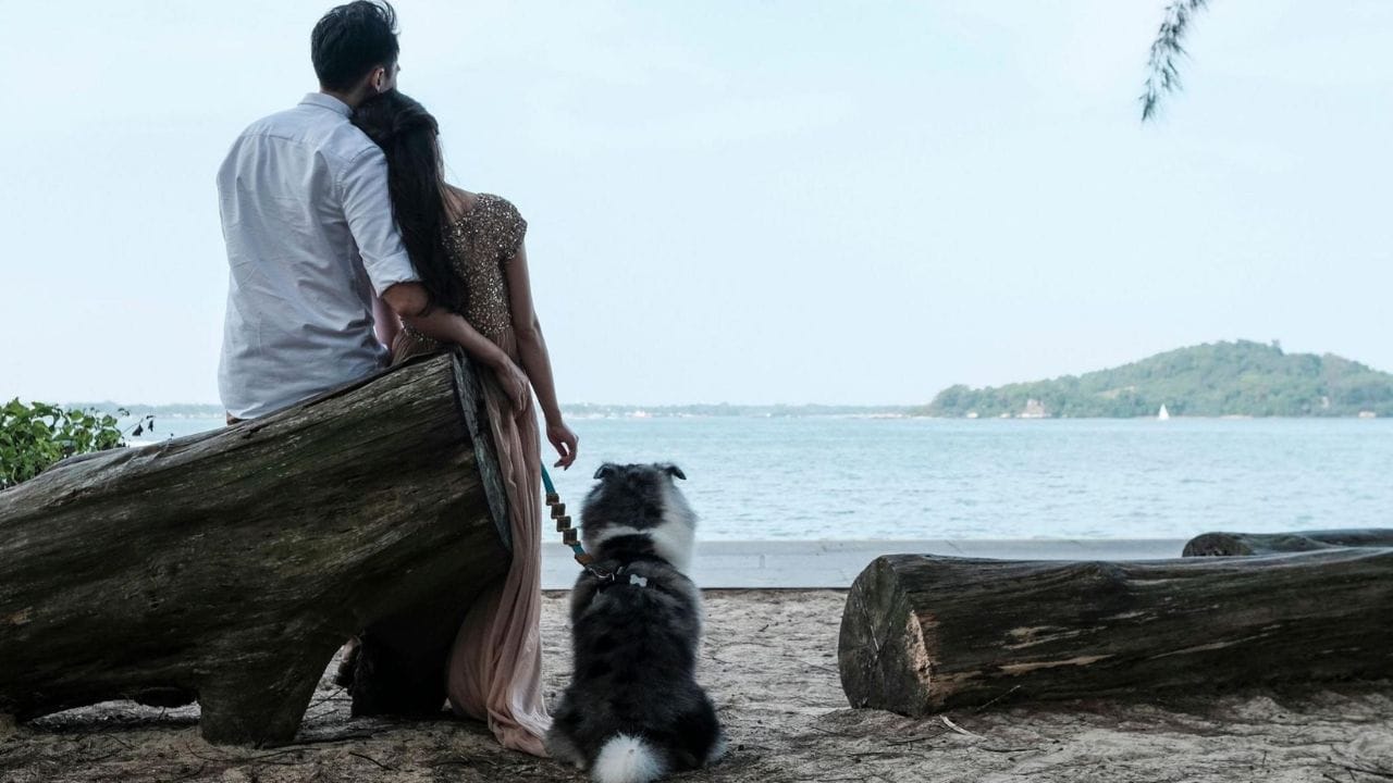 నెలకు ఒక్క మ్యాచ్ మాత్రమే చూపించే విభిన్న డేటింగ్ యాప్ !