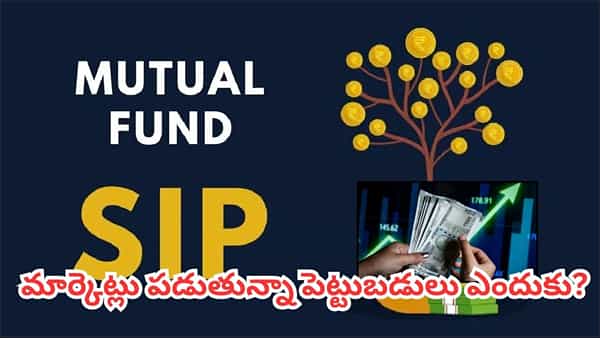 మార్కెట్లు పడుతున్నా తగ్గని SIP పెట్టుబడులు.. సెప్టెంబర్లో సరికొత్త రికార్డు!