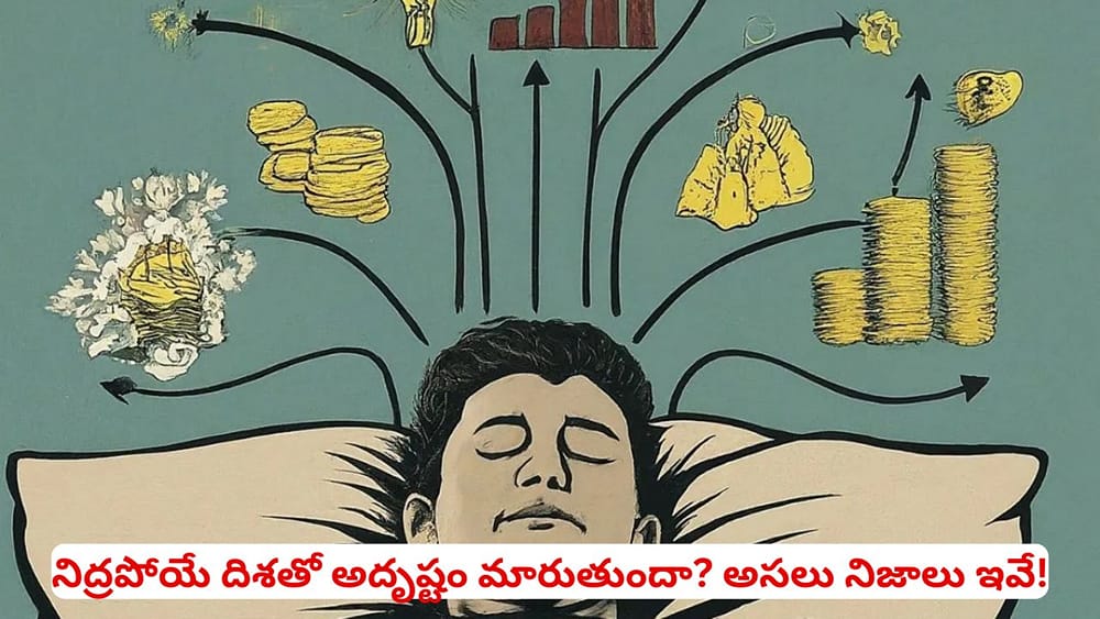 Vastu Tips: నిద్రపోయేటప్పుడు తల ఏ దిశలో ఉండాలి? ఉత్తరం వైపు తల పెట్టి పడుకోవద్దని ఎందుకంటారు?
