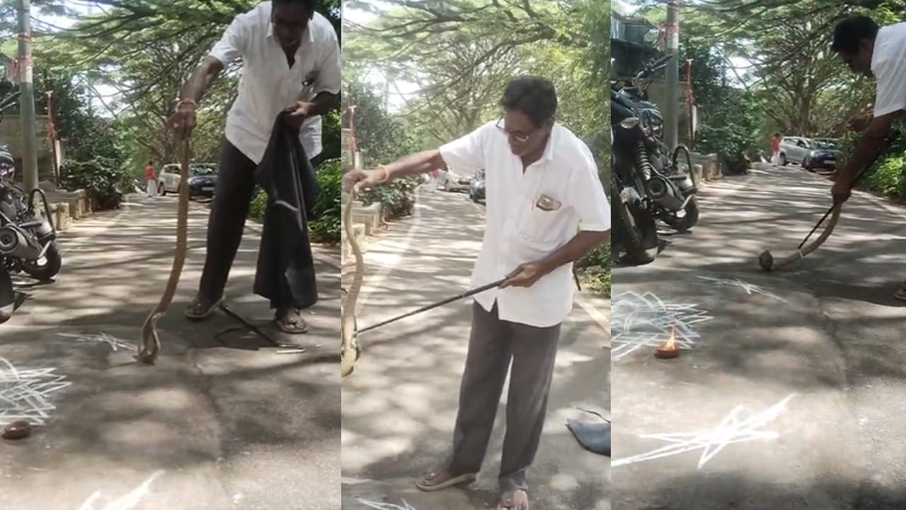 తిరుమలలో నడక మార్గాల్లోనే కాకుండా తిరుమలలో అతిథి గృహాలు, రింగు రోడ్లు, భక్తులు తిరిగే ప్రాంతాల్లో కంట పడుతున్న పాములు ఈ మధ్య కాలంలో ఎక్కువయ్యాయి.చల్లని ప్రాంతాల్లో సేద తీరే ప్రయత్నం చేస్తున్న పాములు ఇలా బయటకు వస్తుండగా భక్తుల్లో ఆందోళన నెలకొంది.