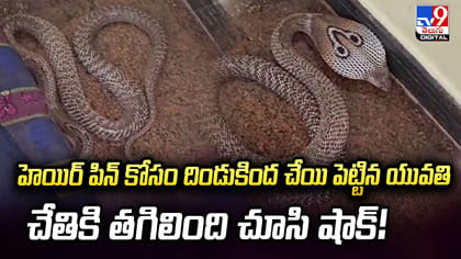 దిండుకింద చేయి పెట్టిన యువతి.. చేతికి తగిలింది చూసి షాక్‌!