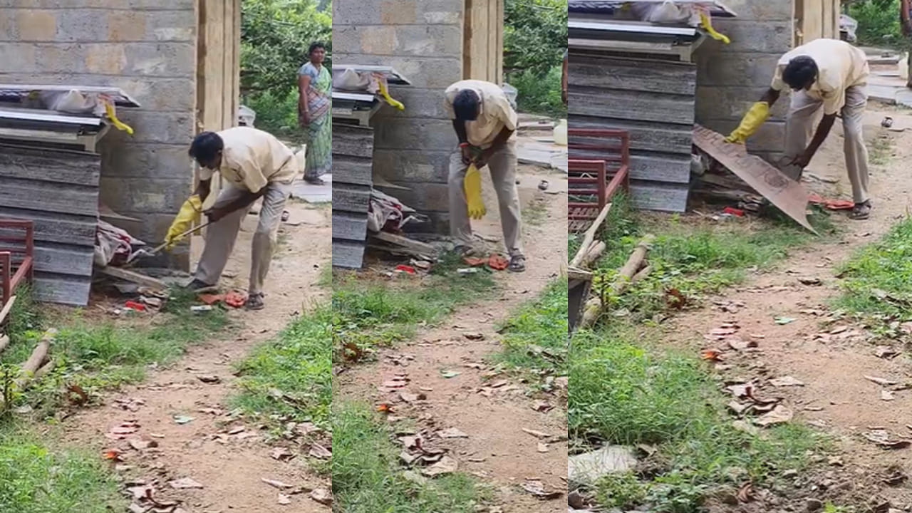 ఇందులో భాగం గానే తిరుమల రింగ్ రోడ్ లో 7 అడుగుల పొడవైన జర్రిపోతు భక్తుల కంటపడింది. రింగ్ రోడ్ లో జర్రిపోతు ను గమనించి అప్రమత్తమైన భక్తులు సిబ్బంది వెంటనే ఫారెస్ట్ అధికారులకు సమాచారం ఇవ్వడంతో ఫారెస్ట్ విభాగంలో కాంట్రాక్టు ఉద్యోగి గా పనిచేస్తున్న భాస్కర్ నాయుడు అక్కడికి చేరుకున్నారు.
