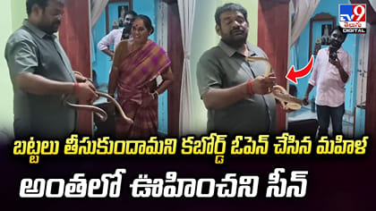 కబోర్డ్‌ ఓపెన్‌ చేసిన మహిళ.. అందులో ఊహించని సీన్‌ చూసి హడల్‌