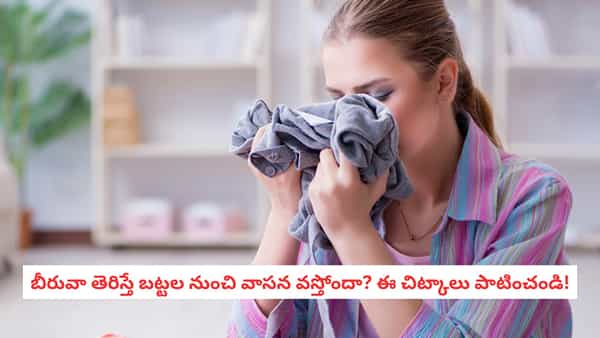 Clothes Care: బీరువాలో పెట్టిన బట్టల నుంచి దుర్వాసన వస్తోందా? ఈ చిట్కాలతో తాజాగా ఉంచండి!