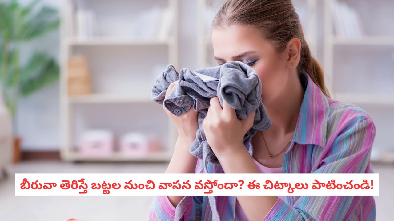 Clothes Care: బీరువాలో పెట్టిన బట్టల నుంచి దుర్వాసన వస్తోందా? ఈ చిట్కాలతో తాజాగా ఉంచండి!