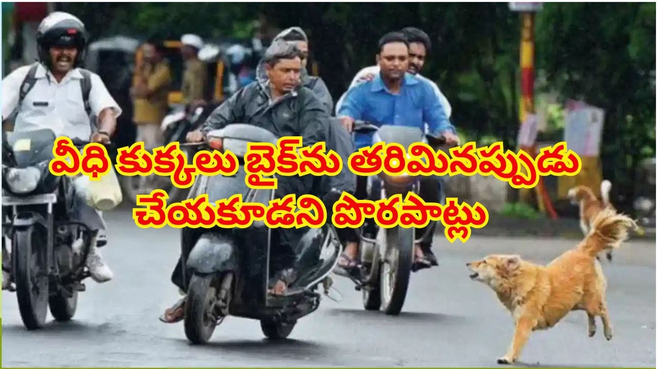వీధి కుక్కలు బైక్ను వెంటాడితే ఏం చేయాలి? ఈ తప్పులు మాత్రం పొరపాటున చేయకండి..!