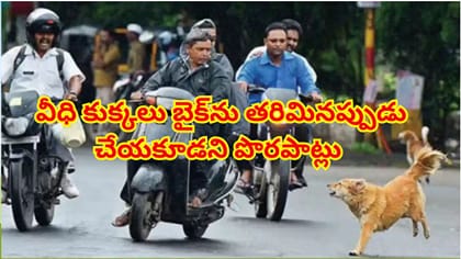 వీధి కుక్కలు బైక్‌ను వెంటాడితే ఏం చేయాలి?ఈ తప్పులు మాత్రం చేయకండి