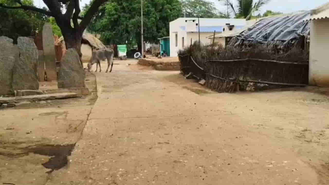 Andhra: వింత ఆచారం.. ఈ గ్రామంలో కోళ్లు పెంచరు.. కోడిగుడ్డు కూడా తినరు!