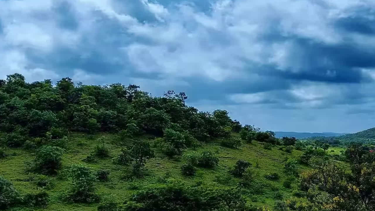 అనంతగిరి హిల్స్ : వికారాబాద్ జిల్లాలో ఉన్న అనంతగిరి హిల్స్ ప్రతి ఒక్కరినీ ఆకట్టుకుంటాయి. అందమైన కొండలు, చుట్టూ చెట్లు, తోటలు, జలపాతాల మధ్య ఎంజాయ్ చేయాలి అనుకుంటున్నారా? అయితే మీరు అనంతగిరి హిల్స్కు వెళ్లాల్సిందే. ప్రకృతి ప్రేమికులందరినీ ఇది ఎంతగానో ఆకట్టుకుంటుంది.