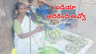 Telangana: ఐడియా అదుర్స్‌.. కోతుల బెడదకు చెక్‌ పెట్టేందుకు వృద్ధురాలి వినూత్న ప్రయత్నం!