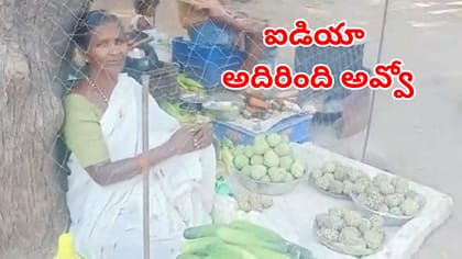 కోతుల బెడదకు చెక్‌ పెట్టేందుకు వృద్ధురాలి అదిరిపోయే ఐడియా