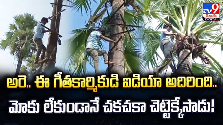 అరె.. ఈ గీతకార్మికుడి ఐడియా అదిరింది.. మోకు లేకుండానే చకచకా చెట్టెక్కేసాడు! అరె.. ఈ గీతకార్మికుడి ఐడియా అదిరింది.. మోకు లేకుండానే చకచకా చెట్టెక్కేసాడు!
